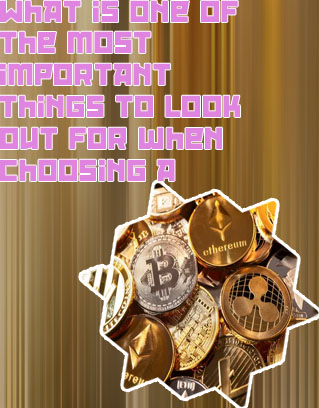 Best to buy cryptocurrency