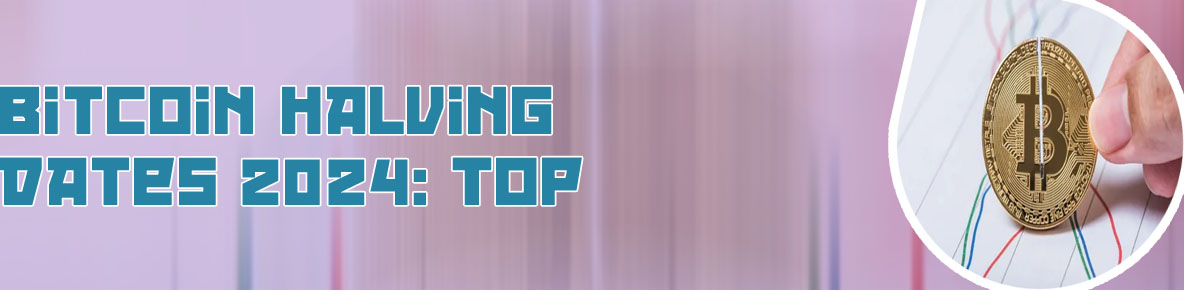Crypto halving