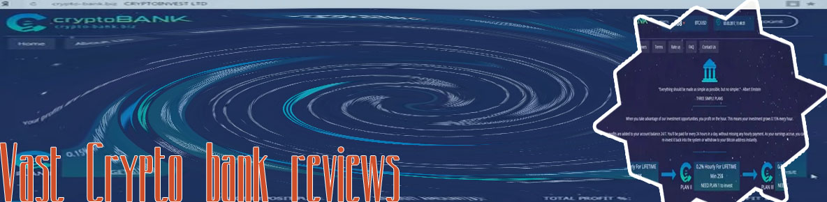 Vast crypto banking review